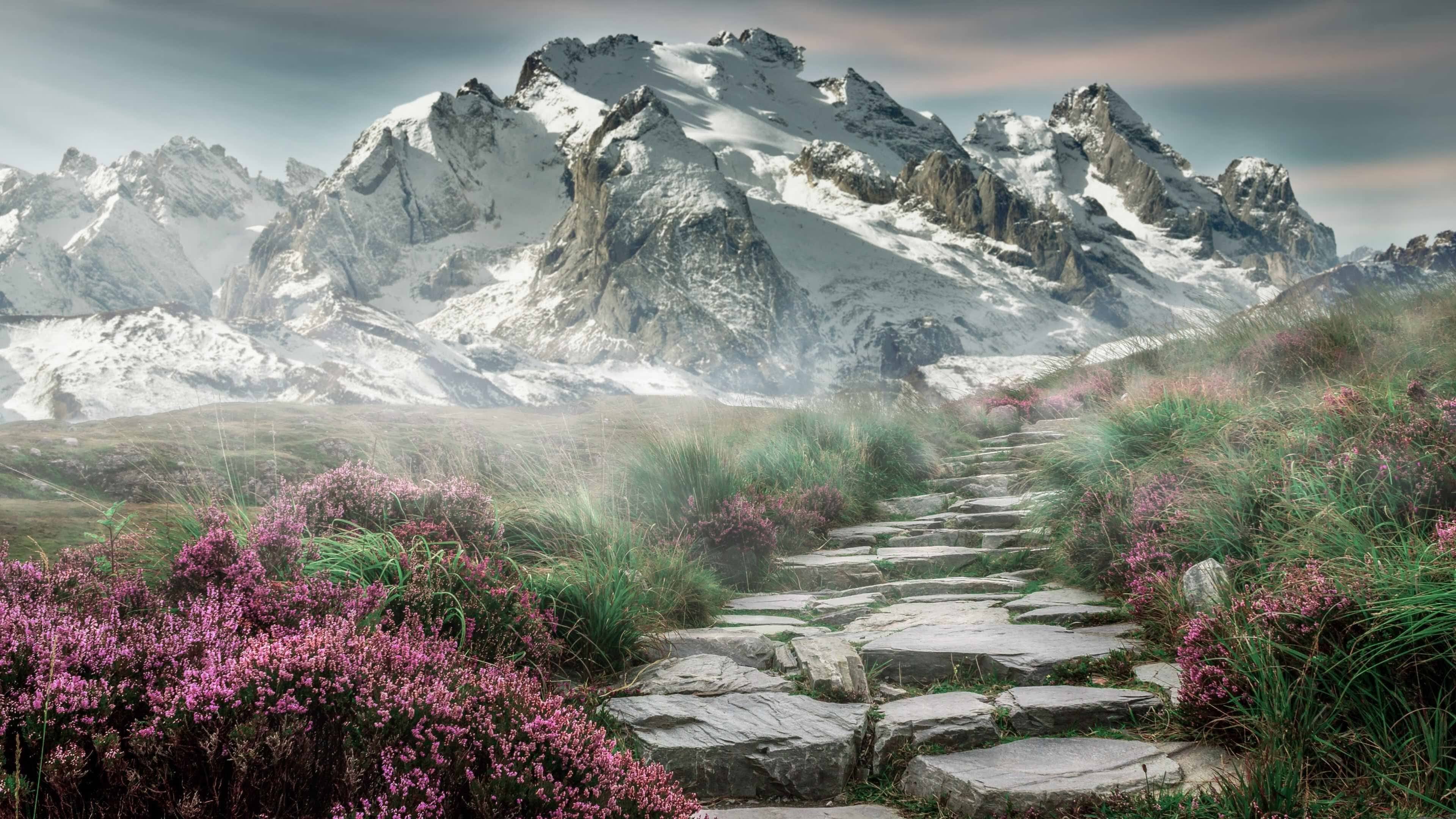 v7.2.5版本正式上线,2026年2月19日开启智能新纪元